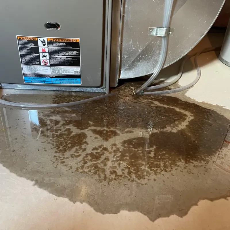 Appliance Leak Cleanup in Spring, TX