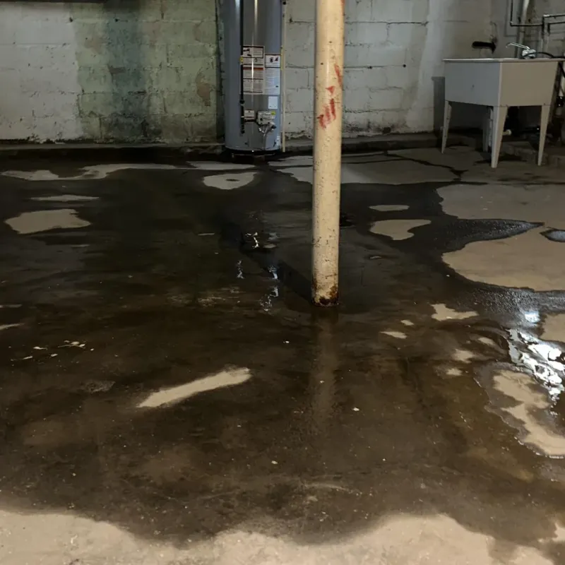Emergency Water Extraction And Removal in Spring, TX